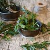 14 Herbes de Provence- yrttisekoitus